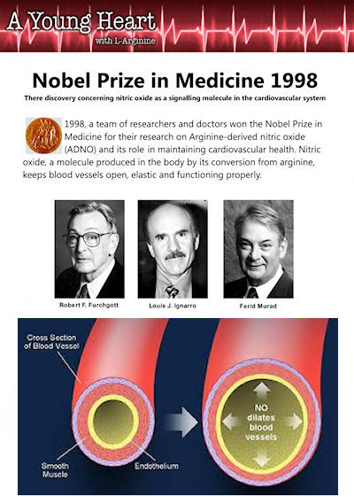 nobelprize_nitricoxide